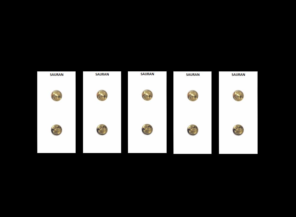 SAURAN Electrical Switch, Basic Power 6A 2 Pin Socket Modular (5)-picture-17
