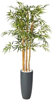 Nearly Natural 5818 5’ Bamboo Artificial Tree in Gray Cylinder Planter, Green