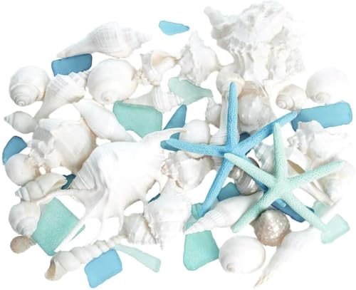 Nautical Crush Trading Sea Shells - White Real Mixed Beach Seashells (1lb) with Starfish & Sea Glass - Shells for Crafts - Ocean Decor - Beach Party Decorations - Seashell Decor - Large Shells Crafts