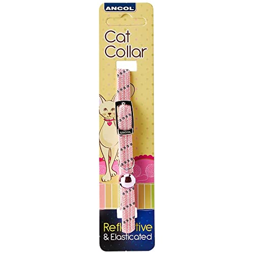 Collier pour Chat élastique et réfléchissant