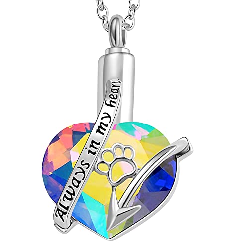 BOSAIYA AZ Toujours dans Mon Coeur Bijoux de crémation for Cendres Urn Collier Pendentif Coeur avec chaîne et Accessoires en Acier Inoxydable T1029 (Metal Color : Pet Paw)