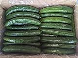 ＪＡ佐野 キュウリ 約35〜50本入 約5kg 曲がり 不揃い きゅうり 栃木県産 産地直送 新鮮 野菜 詰合せ 漬物 夏野菜 訳あり 訳アリ 家庭用 国産