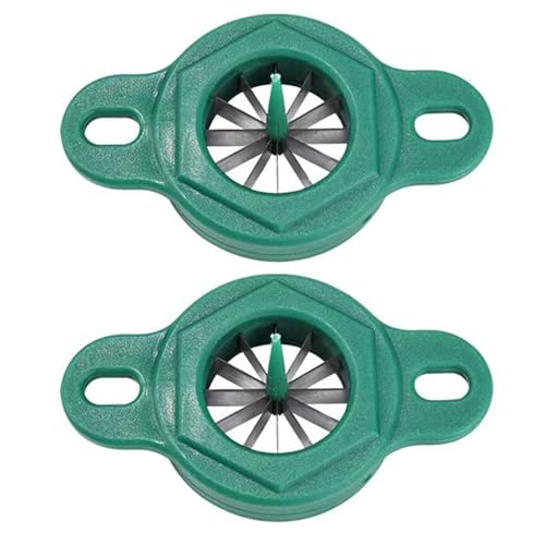 Cabilock 2pièces Râpe à Oignons et Coupe-oignons Acier Inoxydable Ustensiles de Cuisine Pratiques pour Hacher Légumes Verts Ciboules et Échalotes