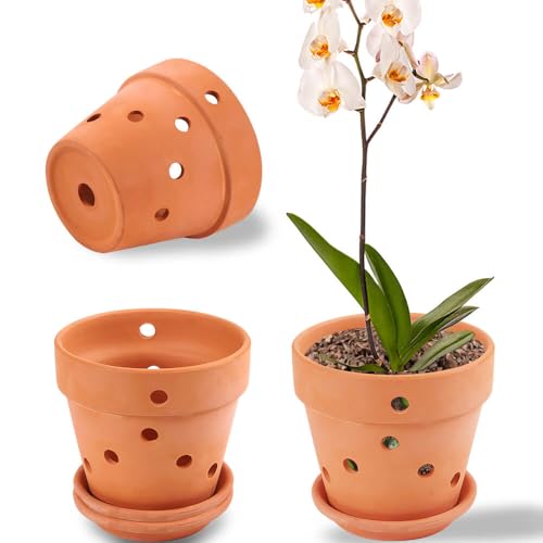 NiSevenLiving 6 Inches Terracotta Orchid Pots with Holes - Set of 3 Clay Orchid Planter Pots for Repotting, Small Flower Planter with Saucer for Plant Indoor or Outdoor Promotes Air Circulation