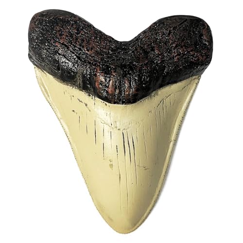 Image of Carcharodon Megalodon Tooth Replica with Serration-Shark Teeth Fossil Collection,5.1 inches (Yellow)