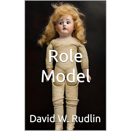 Role Model Audiolibro Por David Rudlin arte de portada