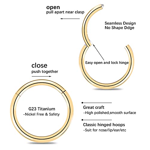 6Pcs G23 Titanium Hinged Nose Rings Hoop 20 Gauge 7Mm Nose Septum Clicker Segment Rings Cartilage Conch Tragus Helix Rook Hoop Earring Body Piercing Jewelry (20 Gauge, 7Mm) #TOP2