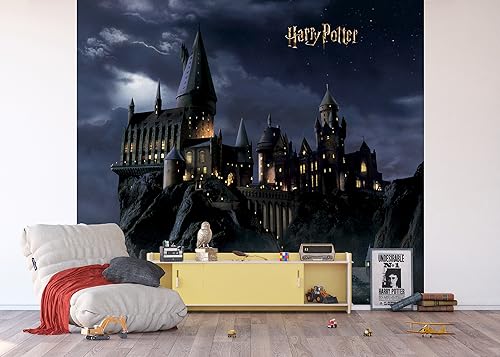 AG Design ADTD4P 7804-412 Harry Potter Vlies-Fototapete, 300 x 270 cm