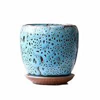 Amazon.co.jp: [ADSNS] ポップなカラーが可愛い おしゃれで個性的な