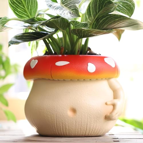 AmiCera Cute Bulbous Mushroom Flower Pot, Colourful Planter for Indoor Plants Unique Plant Pot with Drainage