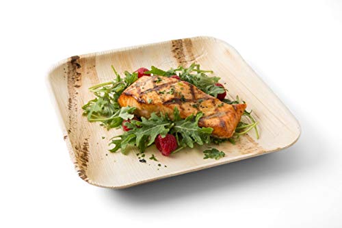 Leafware 10 Inch Square Disposable Compostable Palm Leaf Plates - 50 Plates
