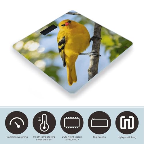 Báscula digital de baño Oriole de vidrio templado miniatura 3