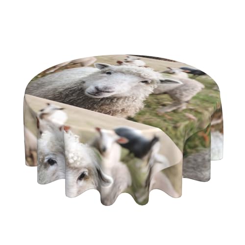 Nappe ronde agneau en polyester durable de qualité supérieure pour table - 7