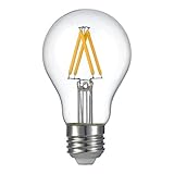 LIGHTSTORY LED Edison Bulb A19, E26 Base 2700K Non-dimmable Vintage LED Filament Bulb (3W=40W)