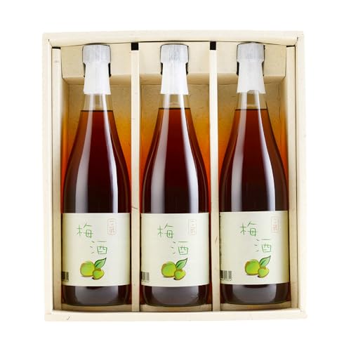 梅酒 文蔵 720ml × 3本 計2.16L 木下醸造所