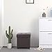 SONGMICS 15.7 Inches Storage Ottoman, Padded Folding Footrest, Chest with Lid, Solid Wood Feet, Space-Saving, Holds up to 660 lb, Brown ULSF14BR