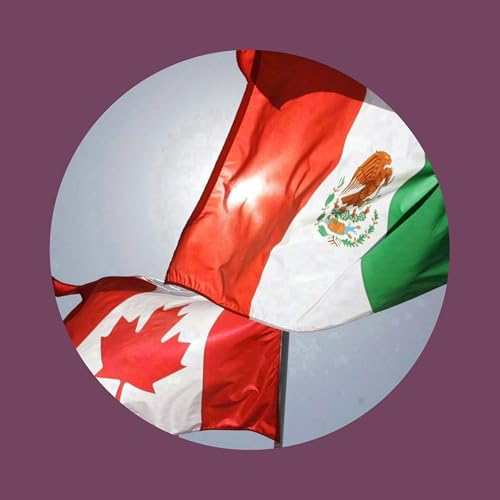 What would a stronger trade relationship with Mexico look like?