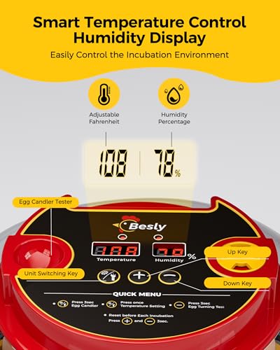Incubator for Hatching Eggs,Automatic Turning,Temperature and Humidity Control Display,360° Viewing for Chicken, Duck, Quail Eggs, Ideal for Farm, Classroom, Home Use,2025 Upgraded 12 Egg Incubators - Thumbnail 2