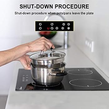 induction hot plate for canning