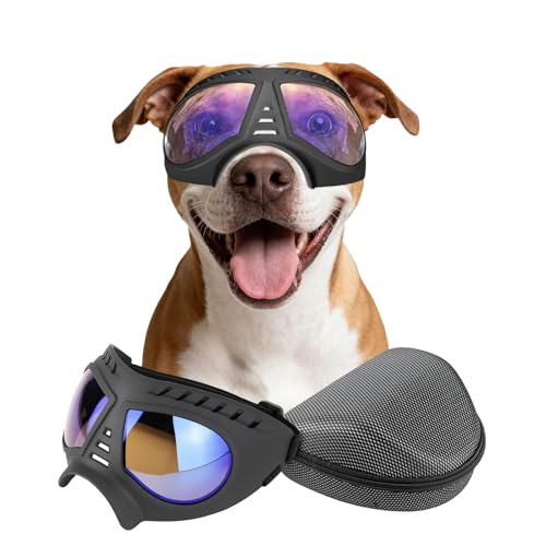 PETLESO Large Clear Blue Lens