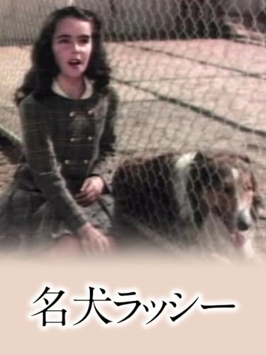 （字幕版）名犬ラッシー（家路）