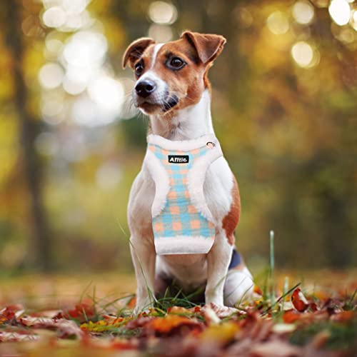 Aiitle Fleece Lined Dog Harness And Leash Set For Walking - Winter Step In Vest Harness,Reflective Bands, Adjustable No Choke Pet Supplies, For Small Dogs And House Cats Yellow Xs #TOP4