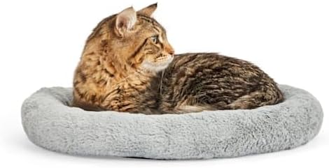 cat bed