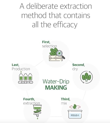 image for ROUND LAB Mugwort Calming Cleanser | Cleanse and calm simultaneously, 