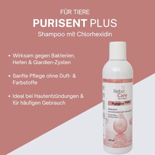 Purisent Plus Chlorhexidin Shampoo 250 ml für Hunde & Katzen: Sanfte Reinigung bei Hautproblemen, Mit Chlorhexidin gegen Keime & Malassezien, Ohne Duftstoffe, Für empfindliche Haut
