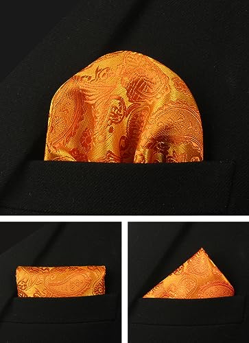 Image of Paisley Floral Mens Tie Formal Necktie Pocket Squares Ties Clips Cufflinks Classic for Men Set