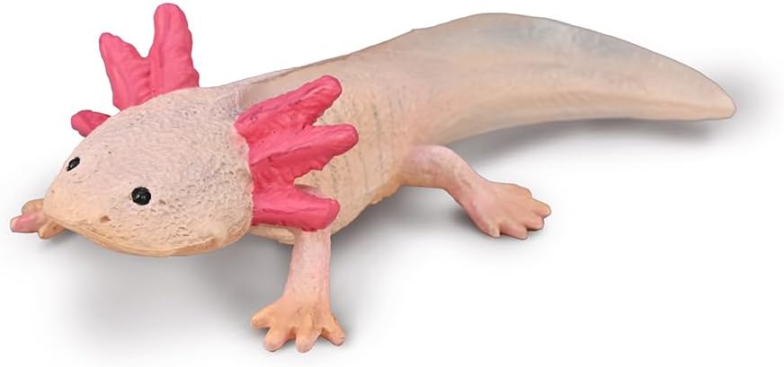 Collecta Axolotl Toy Figure - Realistic Plastic Animal