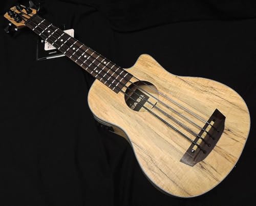yI4087zKALA UBASS-SP-MAPL-FS J u-bass ENx[X Spalted Maple X|ebhCv{fB (P[Xt)