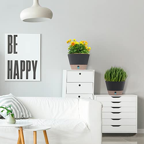 Sosmar 2 Pack Hanging Planters For Indoor Plants, 10 Inch Hanging Pots For Plants With Visible Water Level, 6 Pcs Hooks, Decorative Flower Pot Holder With Drainage For Indoor Outdoor Plants #TOP6