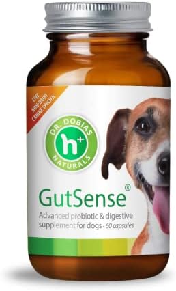 Dr. Dobias - GutSense, Advanced Prebiotic & Probiotics for Dogs, Canine-Specific Dog Probiotics, Dog Supplement for Healthy Digestion, Good Bowel Movement & Immune System, Pet Supplies, 60 Capsules