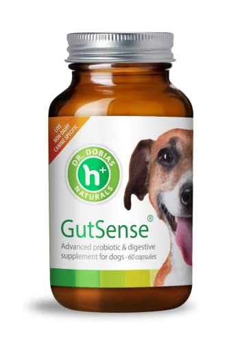 Dr. Dobias - GutSense, Advanced Prebiotic & Probiotics for Dogs, Canine-Specific Dog Probiotics, Dog Supplement for Healthy Digestion, Good Bowel Movement & Immune System, Pet Supplies, 60 Capsules