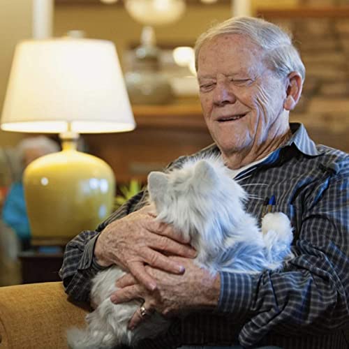 Joy For All - Silver Cat With White Mitts - Interactive Companion Pets - Realistic & Lifelike #TOP5