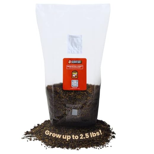 MushroomSupplies.com All in One Mushroom Grow Kit in-a-Bag | Mushroom Grow Bag with Sterilized Grain and Substrate | Easy Grow Your Own Mushrooms (5 LBS)