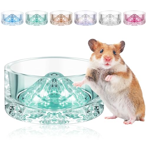 nX^[  u^ EH[^[{E  ݊ KX NA xmR` ^ybg aM 芴 ]|h~`  CR nX^[ nlY~p (O[)