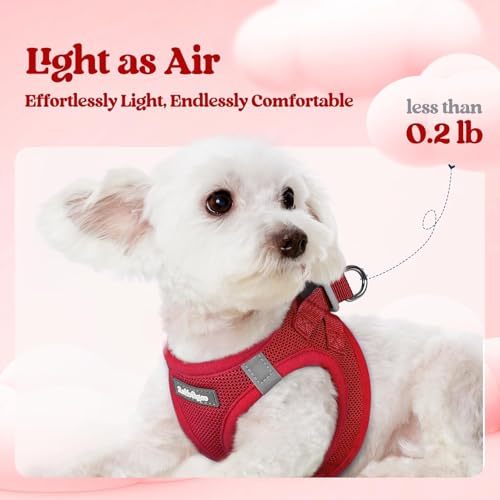 Image of rabbitgoo Dog Harness Medium Sized and Leash Set, Step-in Puppy Pet Vest