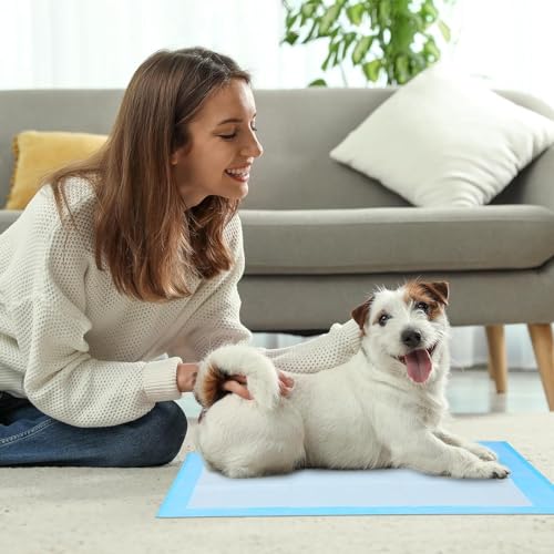 Image of Super Absorbent Waterproof Dog and Puppy Pet Training Pad, Housebreaking Pet Pad, 80-Count Medium-Size, 23.6''X23.6''