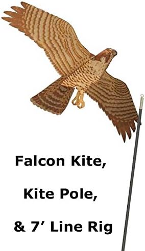 Jackite Peregrine Falcon Kite Package