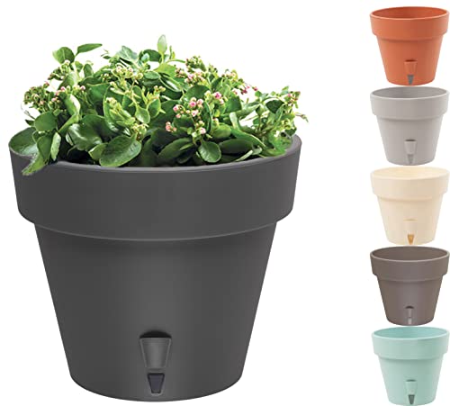 Decopots - Self Watering Planter - 6.9 Inch Diameter - Indoor Outdoor With Bottom Watering And Water Level Indicator (6.9", Graphite) #TOP6