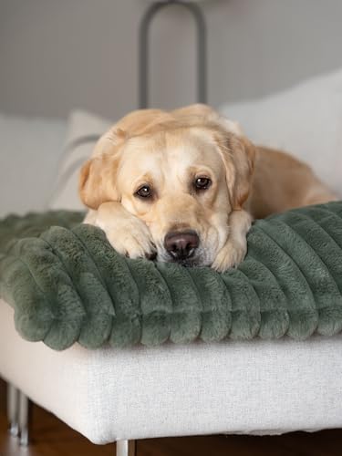 TrendPet Mora, gemütliche Hundematte mit extradicker Polsterung (110 x 70 cm)