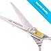 Equinox Professional Razor Edge Series Barber Hair Cutting Scissors - Japanese Stainless Steel Salon Scissors - 6.5” Overall Length - Fine Adjustment Tension Screw - Premium Shears for Hair Cutting