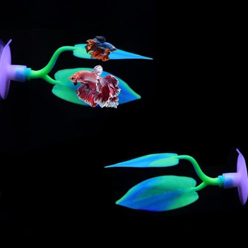 Image of 2PCS Silicone Betta Fish Leaf Hammock, Aquarium Fish Tank Resting Spot Bed for Betta Fish
