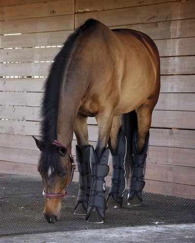 Dover Saddlery X1-042623 Shipping Boot Set, Color: Black thumb #1