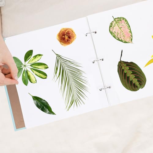 Libro de Prensa de Flores con Papel Resistente para Proyectos Escolares 8