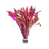 SubstrateSource Live Aquarium Red Stem Plants - Freshwater Aquatic Plant for Fish Tanks, Aquascaping - (Alternanthera Reineckii Rosanervig, 1 Bunch)