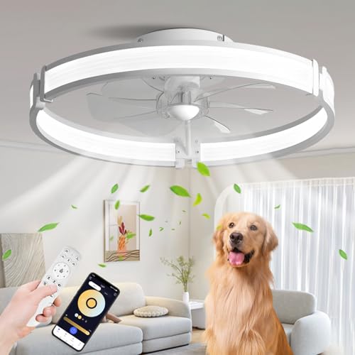 BAYSQUIRREL Ceiling Fans with Lights and Remote, Dimmable Bladeless Ceiling