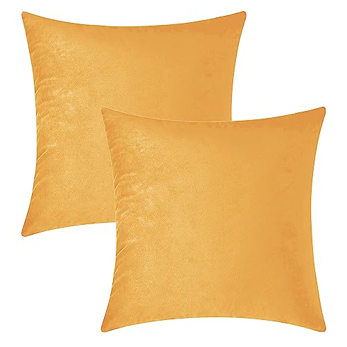 Image of HOKIPO Velvet Cushion Cover 22 Inch x 22 Inch, Mustard Yellow, Pack of 2 (IN-579-MYLW-22IN*2)